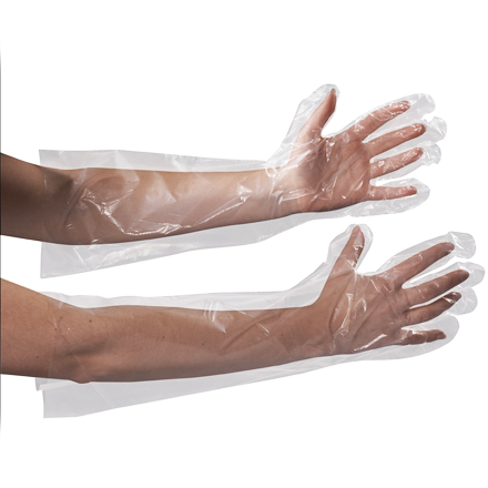 Clear Poly Gloves 18" Elbow Length